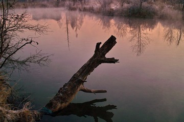 nEO_IMG_SDIM0389.jpg