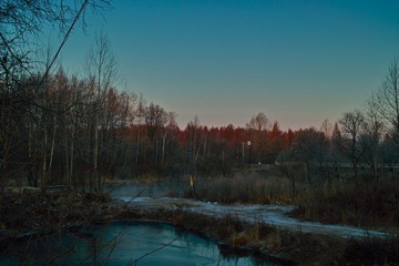 nEO_IMG_SDIM0403.jpg