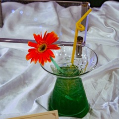 IMG_2404-
