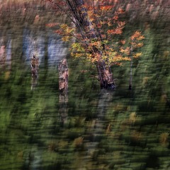 _DSC1055--