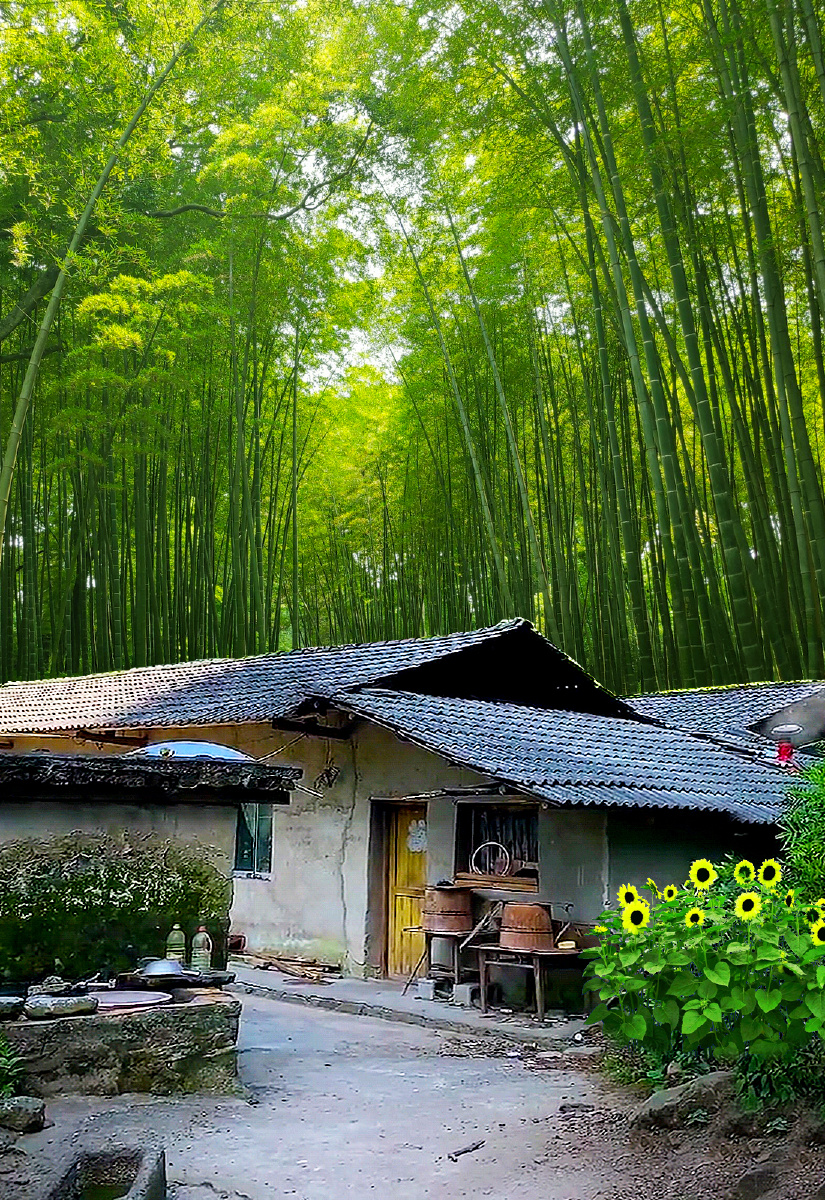 木木制的树环境叶子#房子夏季#小屋#草坪#竹竹林竹园老房子旧宅#老宅
