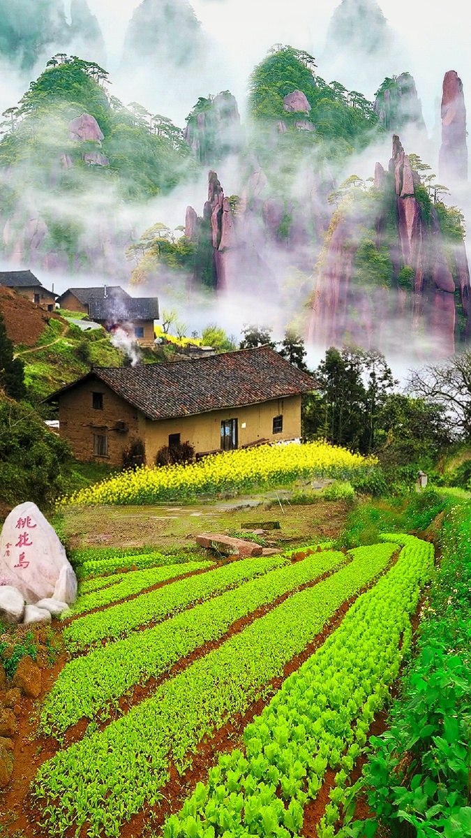 田园美景!梦幻桃花岛!实在不舍得发出来的美片!