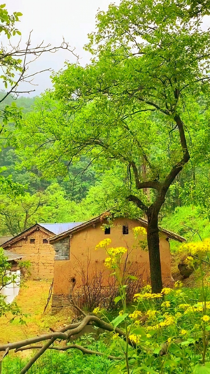 乡愁风景山区老家的土房子