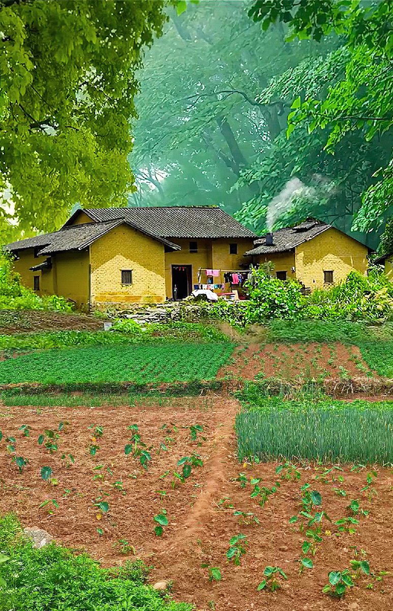 乡下田园生活,自然美农家菜园子美景!