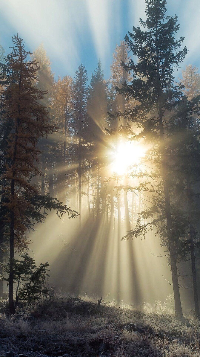 希望你是我心中的一缕阳光.