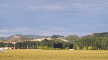 20118
