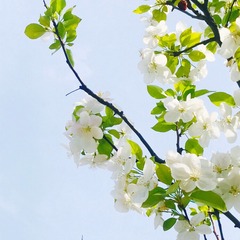 3D228B61-79B9-48A5-BEAE-AC1B333B4581/L0/001