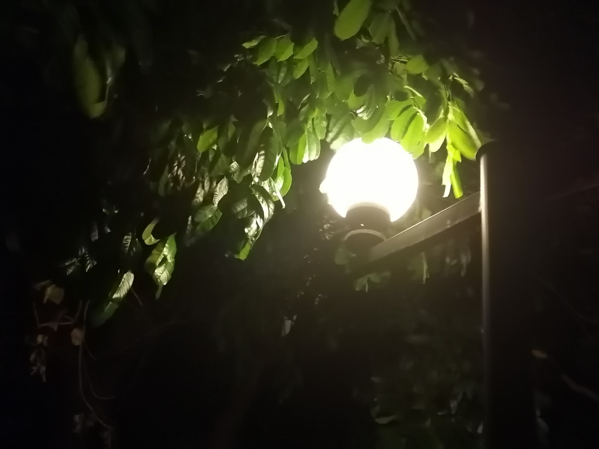 错把路灯当月光