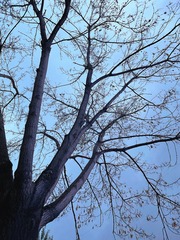 54B8643C-A4CF-410B-AB8A-A000960164EC/L0/001