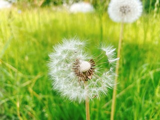 CC2CF840-48C7-4ED0-9B2E-9D1E4208CE8A/L0/001