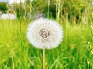 43A5C3F6-F51C-4D60-A163-1CE2C99546D2/L0/001