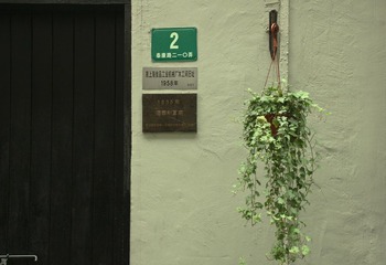 IMG_6087.jpg