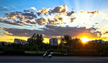 IMG_7260.jpg