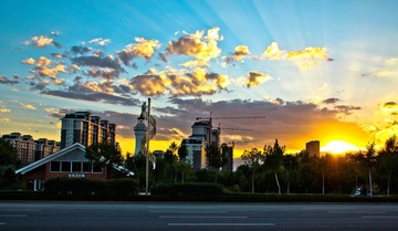IMG_7282.jpg