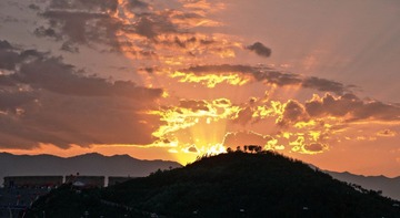 IMG_7336.jpg