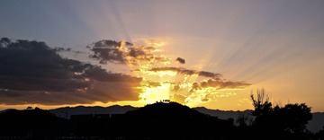 IMG_7347.jpg