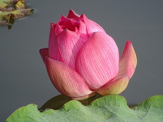 63878