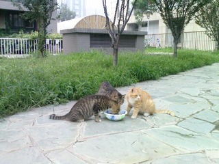 DSC00347.JPG