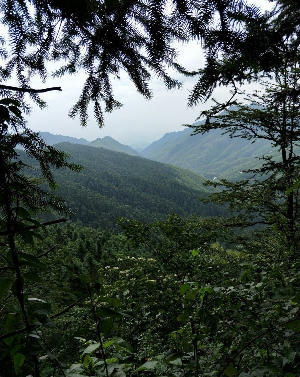 龙山国家森林公园