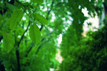 _DSC0002.jpg