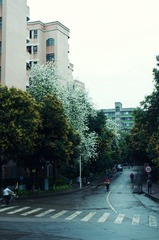 _DSC0072.jpg