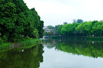 _DSC0039.jpg