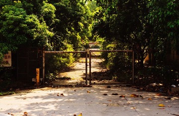 _DSC0016.jpg