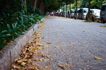 _DSC0088.jpg