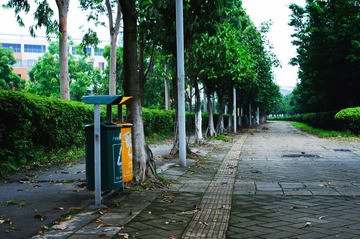 _DSC0072.jpg