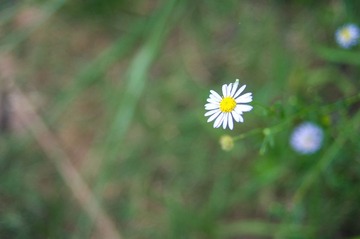 _DSC0104.jpg
