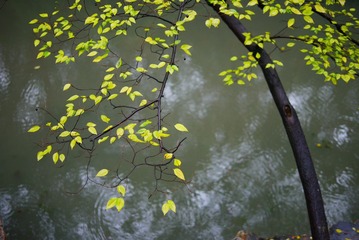 20161021160531