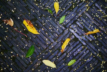 20161021160544