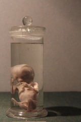 IMG_0546.JPG