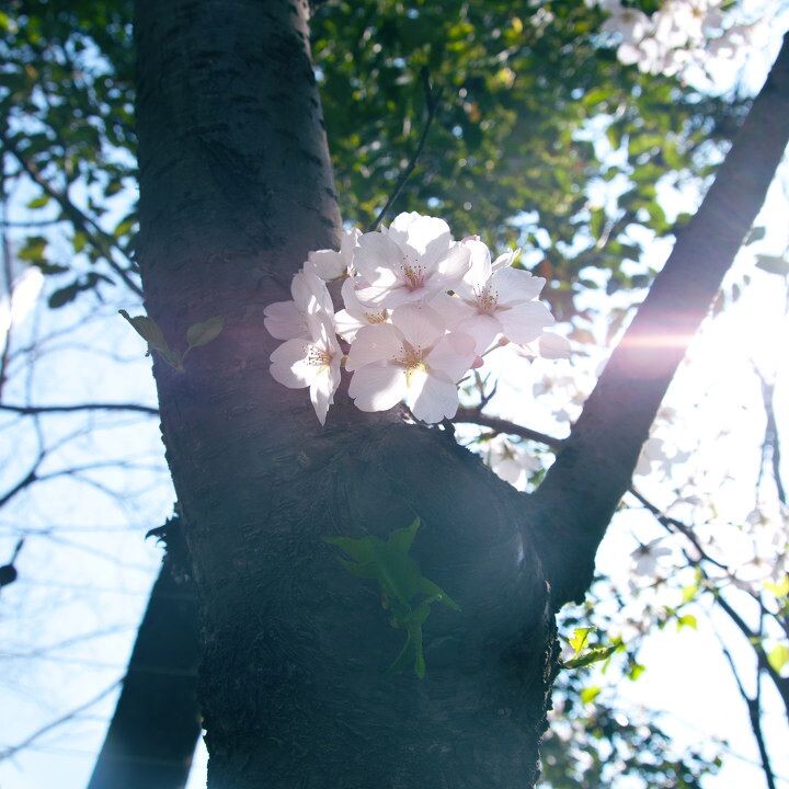 02<br />
