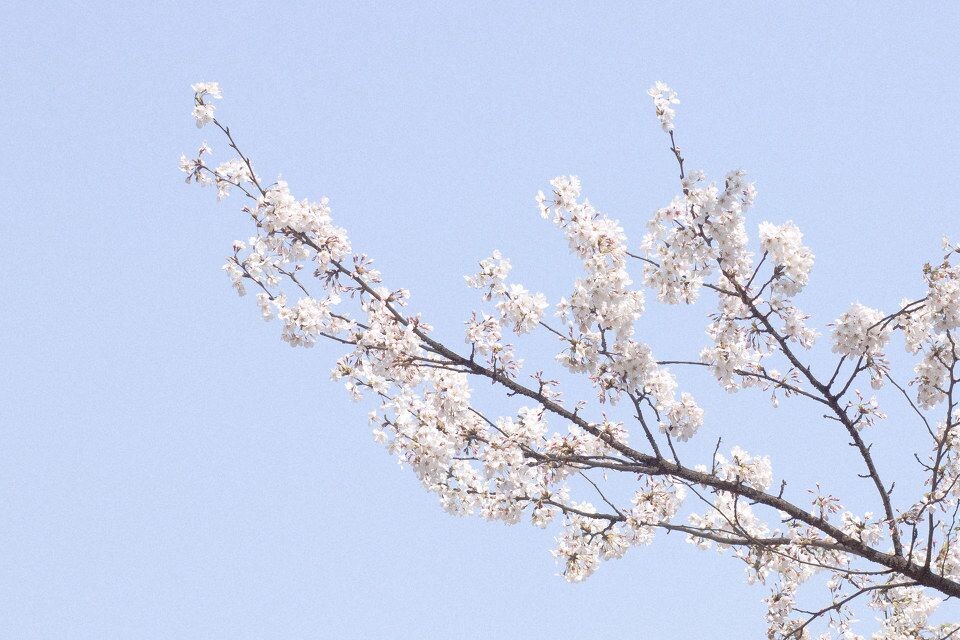 05<br />
