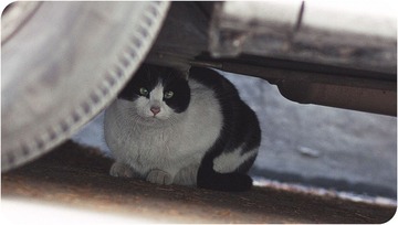 01-2.jpg