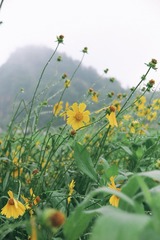 F19CDB90-3A60-465B-90DF-01827DCD4365/L0/001