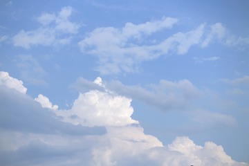 689521BB-ADB8-4075-9289-AFB5D80A2B76/L0/001