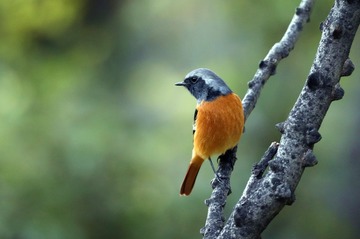 AJ7I3442_