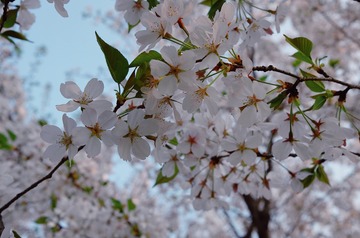 8C87106B-3E55-4D44-A750-39A3275710E3/L0/001