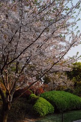 C371B922-F1DB-49A4-A423-9F96B373902F/L0/001