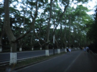 AD0589CB-89FB-4CB9-B4E8-2D20A16CCC24/L0/001