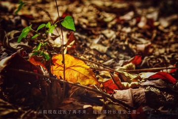 F911101D-0F0E-4E62-BE61-5D13FC891532/L0/001