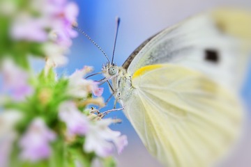 FE80AA14-B8AB-4D1D-8E85-498FE5532192/L0/001