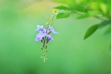 6D5F1D07-8AA5-417F-9891-730FBF1DD752/L0/001