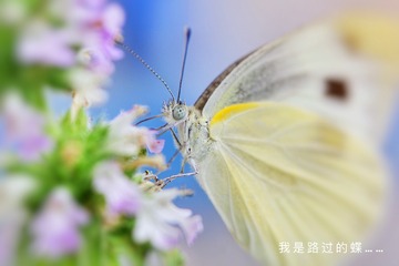 1F9C37FB-25F4-4300-96F1-2A5CB7599932/L0/001