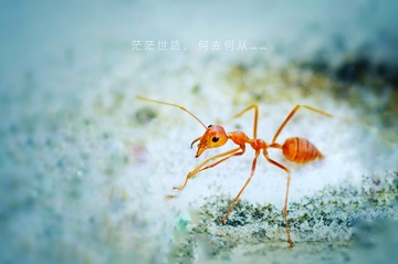 CE36C9D6-150A-47D6-8B59-7A482D62C67F/L0/001