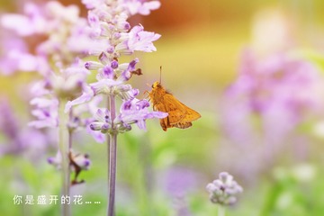 582F662E-A9A8-41F2-8054-85357060684B/L0/001