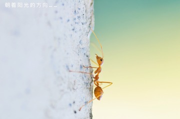 EB45D0E4-B7E4-4F4D-8B6B-89070BC5AF40/L0/001