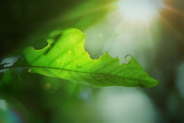 69B5B76F-F204-4058-BCDF-6C9EDC7A4360/L0/001